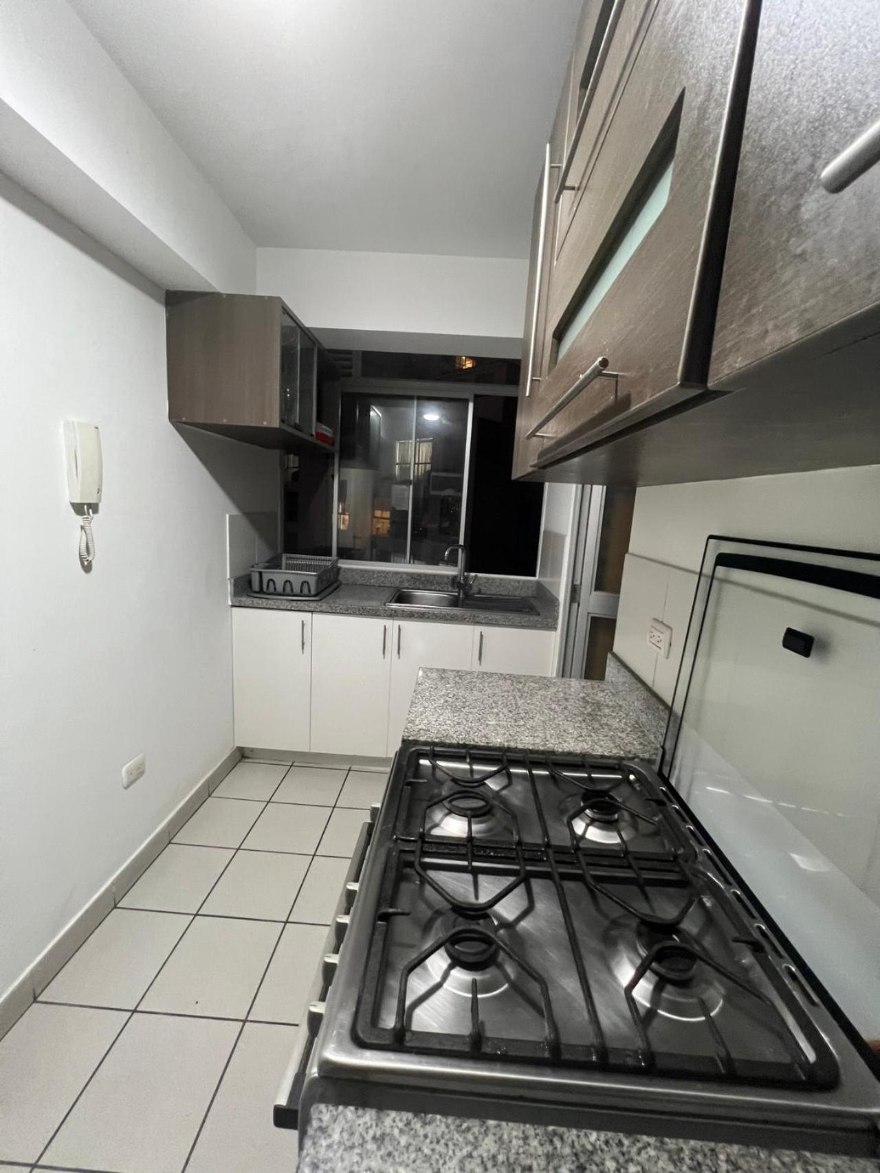 Acogedor Y Espacioso Apartamento リマ エクステリア 写真
